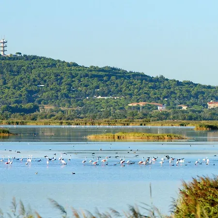 Les Colonnes De Circe By Interhome Agde